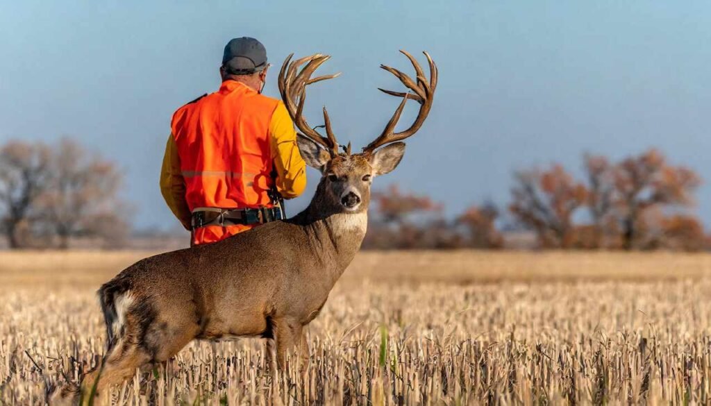 2024 Kansas Hunting Season Dates & Bags Guide!